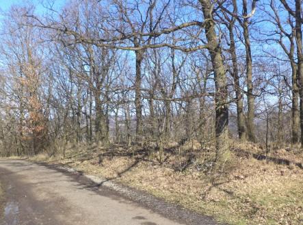 Prodej pozemku, ostatní, 7 064 m² obrázek