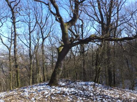 Prodej pozemku, ostatní, 7 064 m²