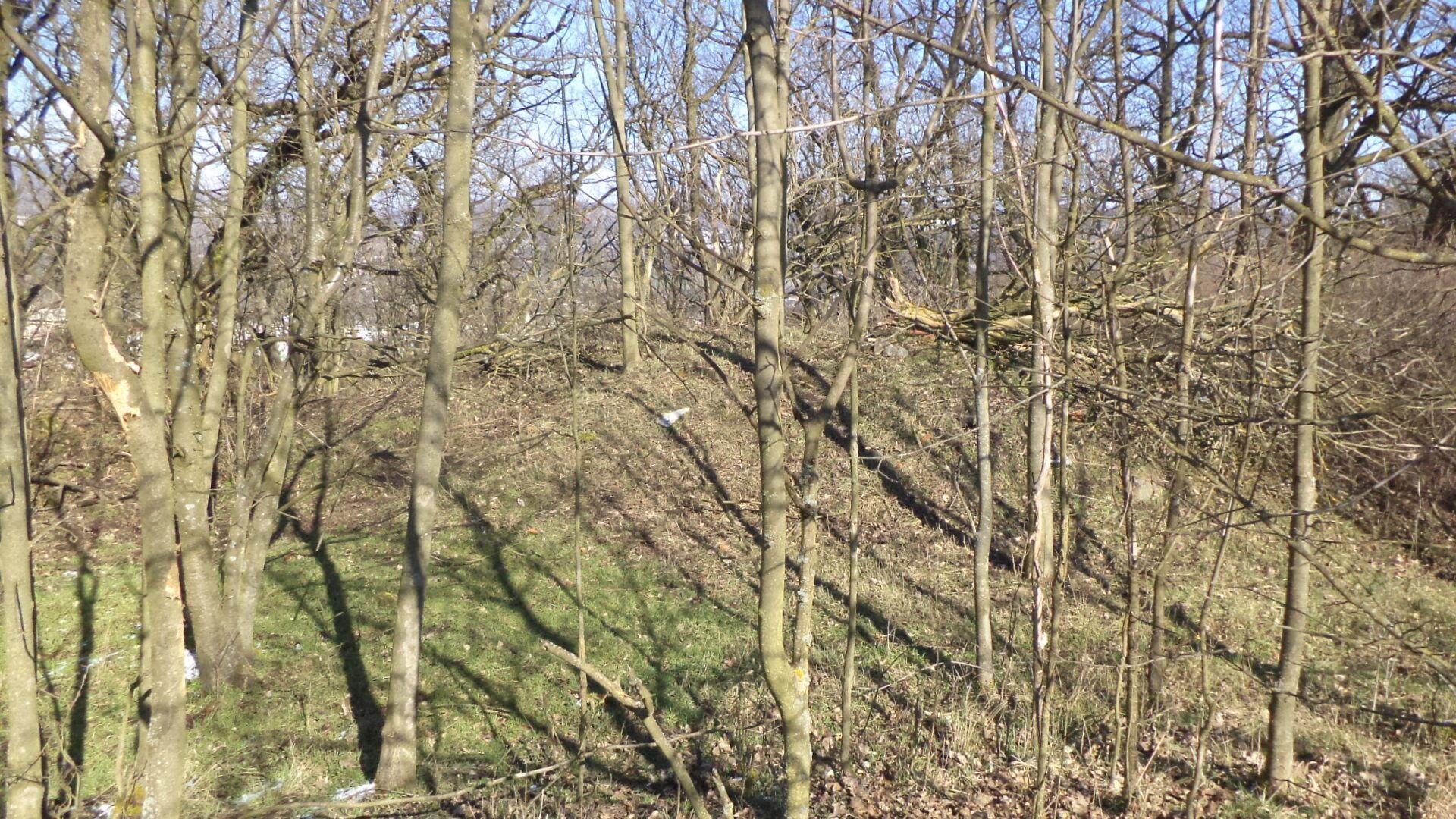 prodej pozemku Všebořice