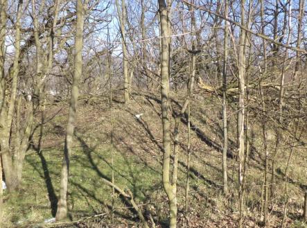 Prodej pozemku, ostatní, 7 064 m²