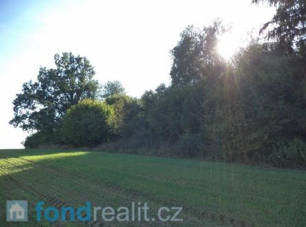 Prodej pozemku, ostatní, 2 385 m²