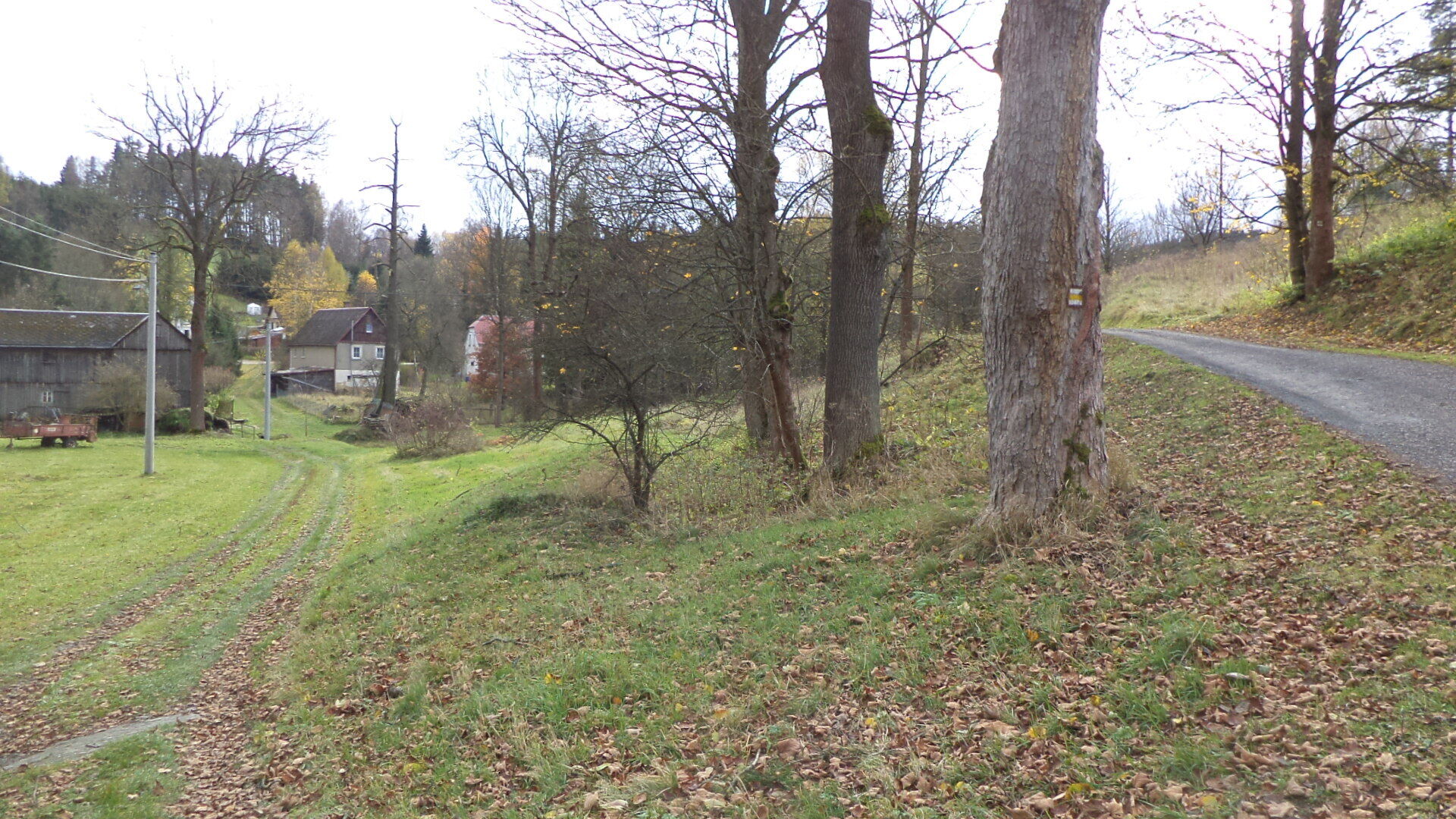 prodej pozemků Dolní Paseky