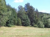 Prodej pozemku, zemědělská půda, 19 744 m²