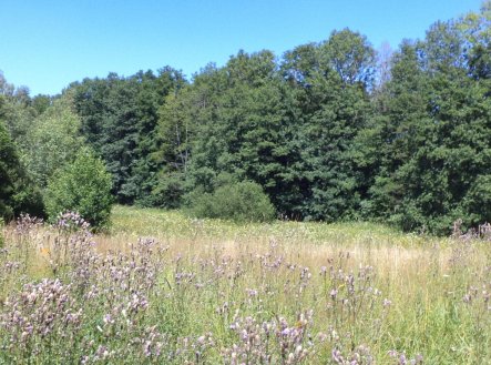 Prodej pozemku, zemědělská půda, 19 744 m²