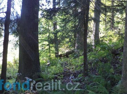 Prodej pozemku, zemědělská půda, 15 217 m²