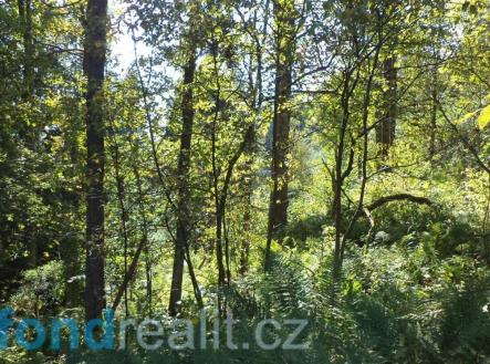 Prodej pozemku, ostatní, 14 721 m²