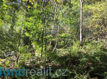 Prodej pozemku, ostatní, 14 721 m²