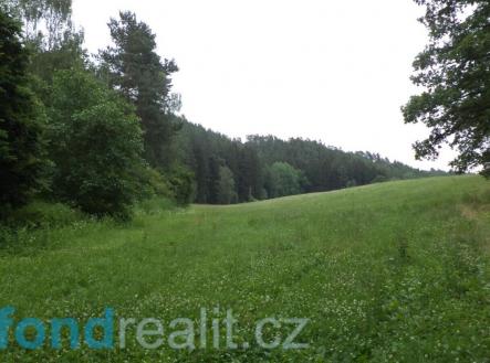 Prodej - pozemek, zemědělská půda, 4 991 m²