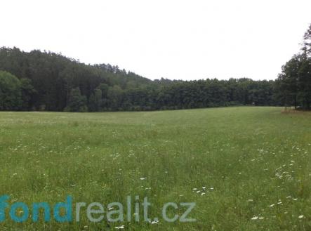 Prodej - pozemek, zemědělská půda, 4 991 m²