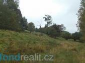 Prodej pozemku, ostatní, 11 994 m²