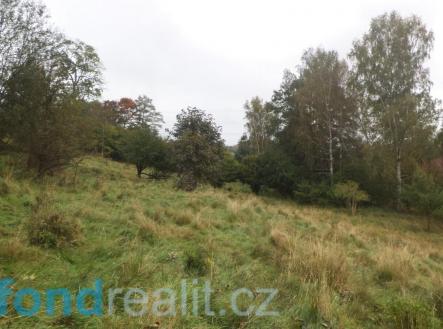 Prodej pozemku, ostatní, 11 994 m²