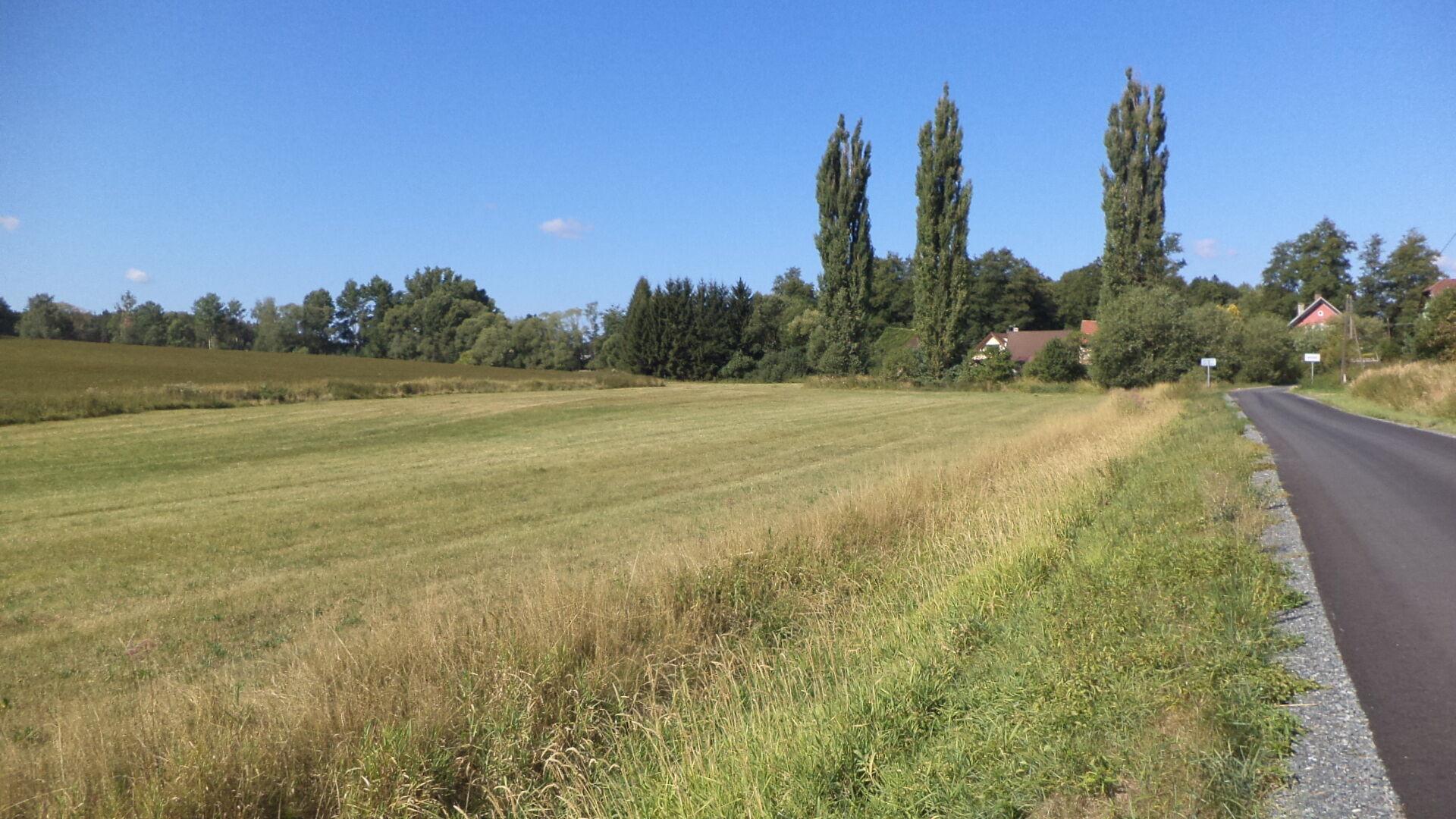 prodej pozemku Medná