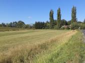 Prodej pozemku, zemědělská půda, 2 383 m²