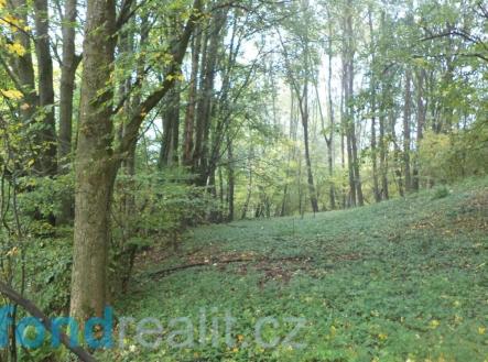 Prodej - pozemek, zemědělská půda, 35 381 m²