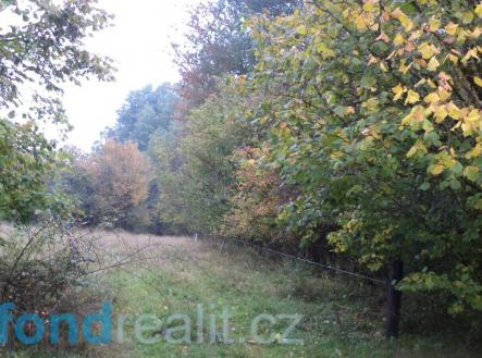 Prodej - pozemek, zemědělská půda, 35 381 m²