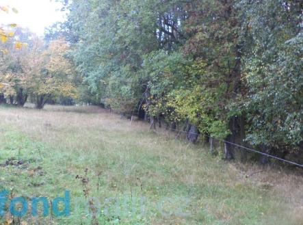 Prodej - pozemek, zemědělská půda, 35 381 m²