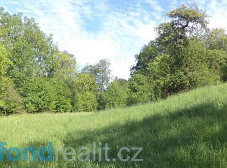 Prodej pozemku, zemědělská půda, 15 764 m²