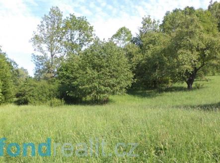Prodej pozemku, zemědělská půda, 15 764 m²