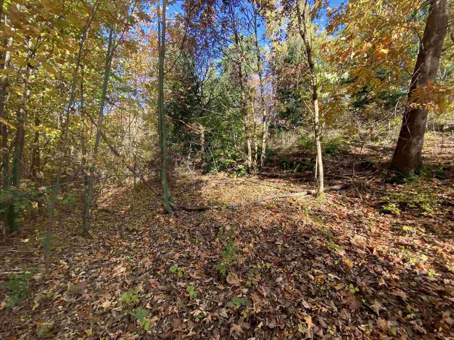 prodej pozemků k.ú. Střevelná