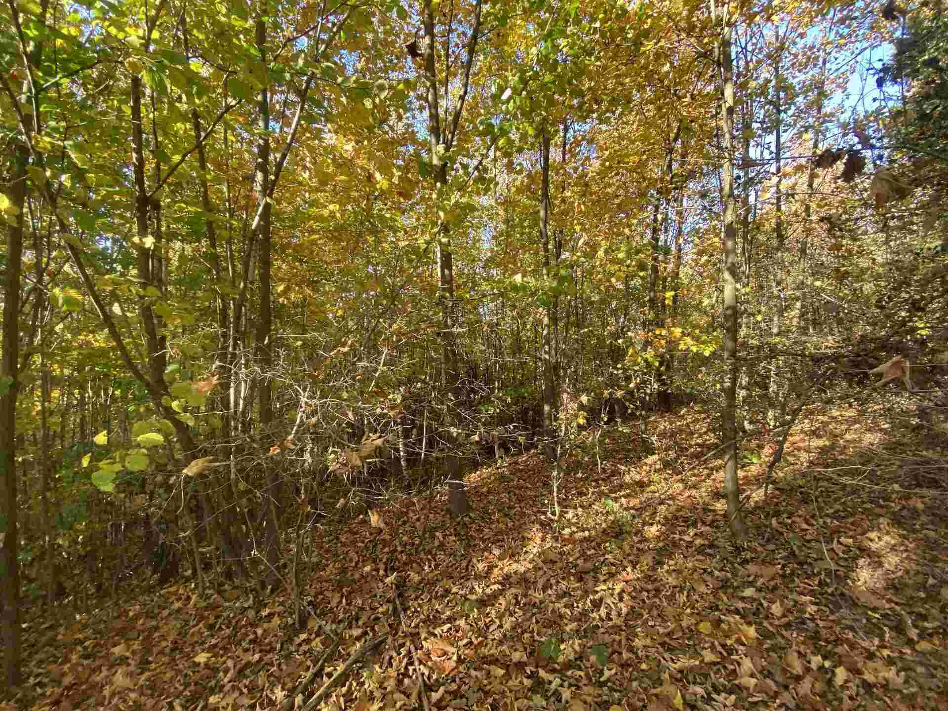 prodej pozemků k.ú. Střevelná