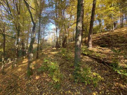 Prodej pozemku, zemědělská půda, 12 622 m²