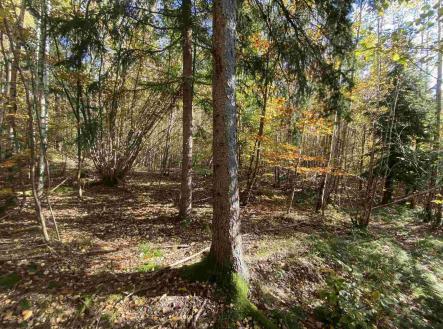 Prodej pozemku, zemědělská půda, 9 794 m² obrázek