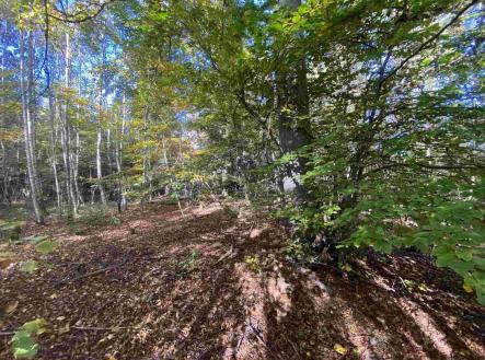 Prodej pozemku, zemědělská půda, 9 794 m²