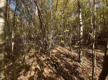 Prodej pozemku, zemědělská půda, 9 794 m²