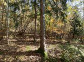 Prodej pozemku, zemědělská půda, 9 794 m²