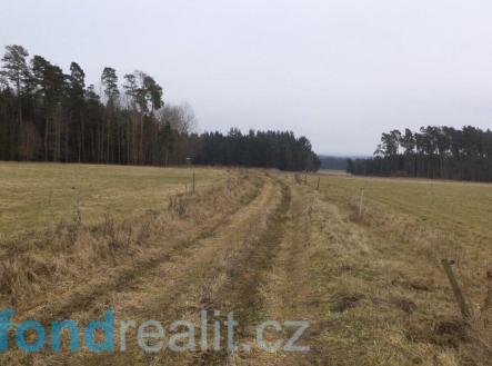 Prodej pozemku, zemědělská půda, 3 739 m²