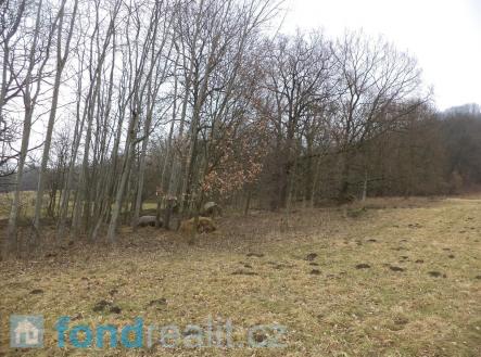 Prodej pozemku, zemědělská půda, 5 161 m²