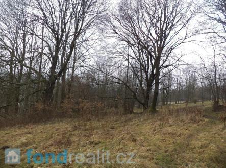 Prodej pozemku, zemědělská půda, 5 161 m²