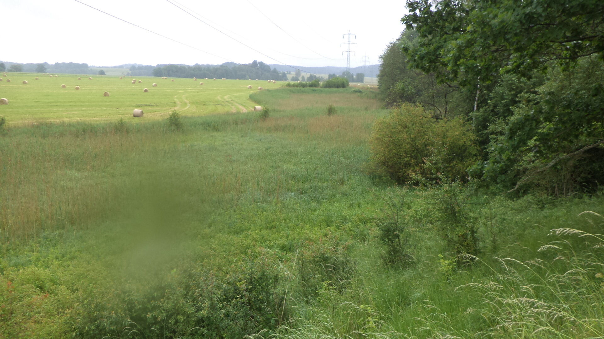 prodej pozemků k.ú. Postřelná