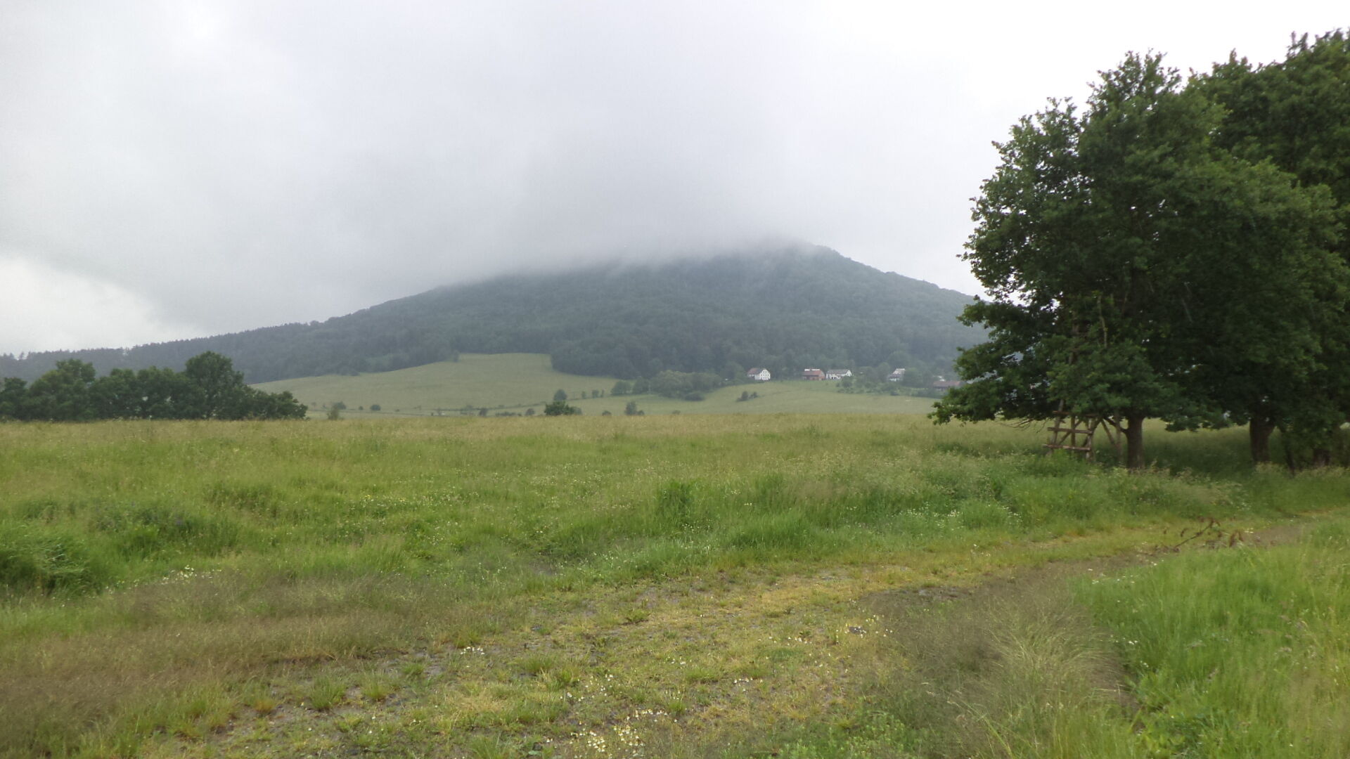 prodej pozemků k.ú. Postřelná