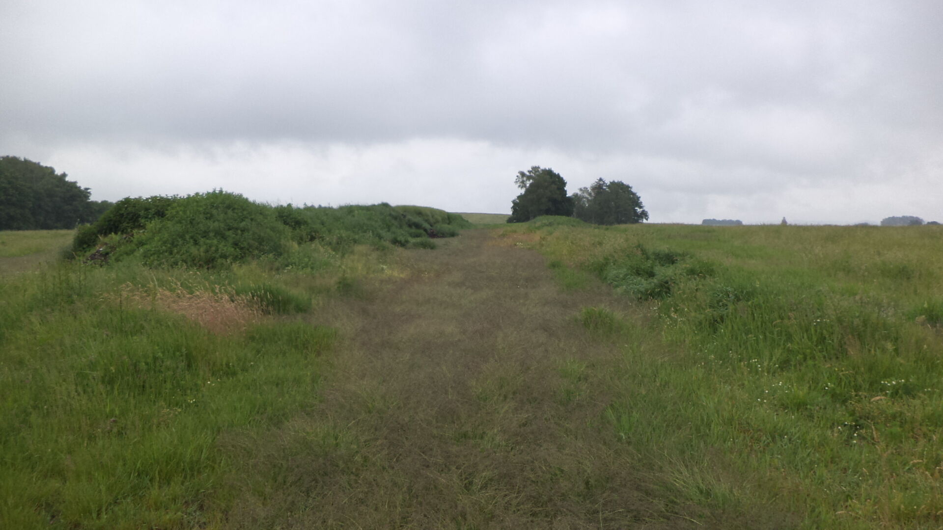 prodej pozemků k.ú. Postřelná