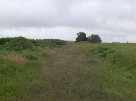 Prodej pozemku, zemědělská půda, 4 685 m²