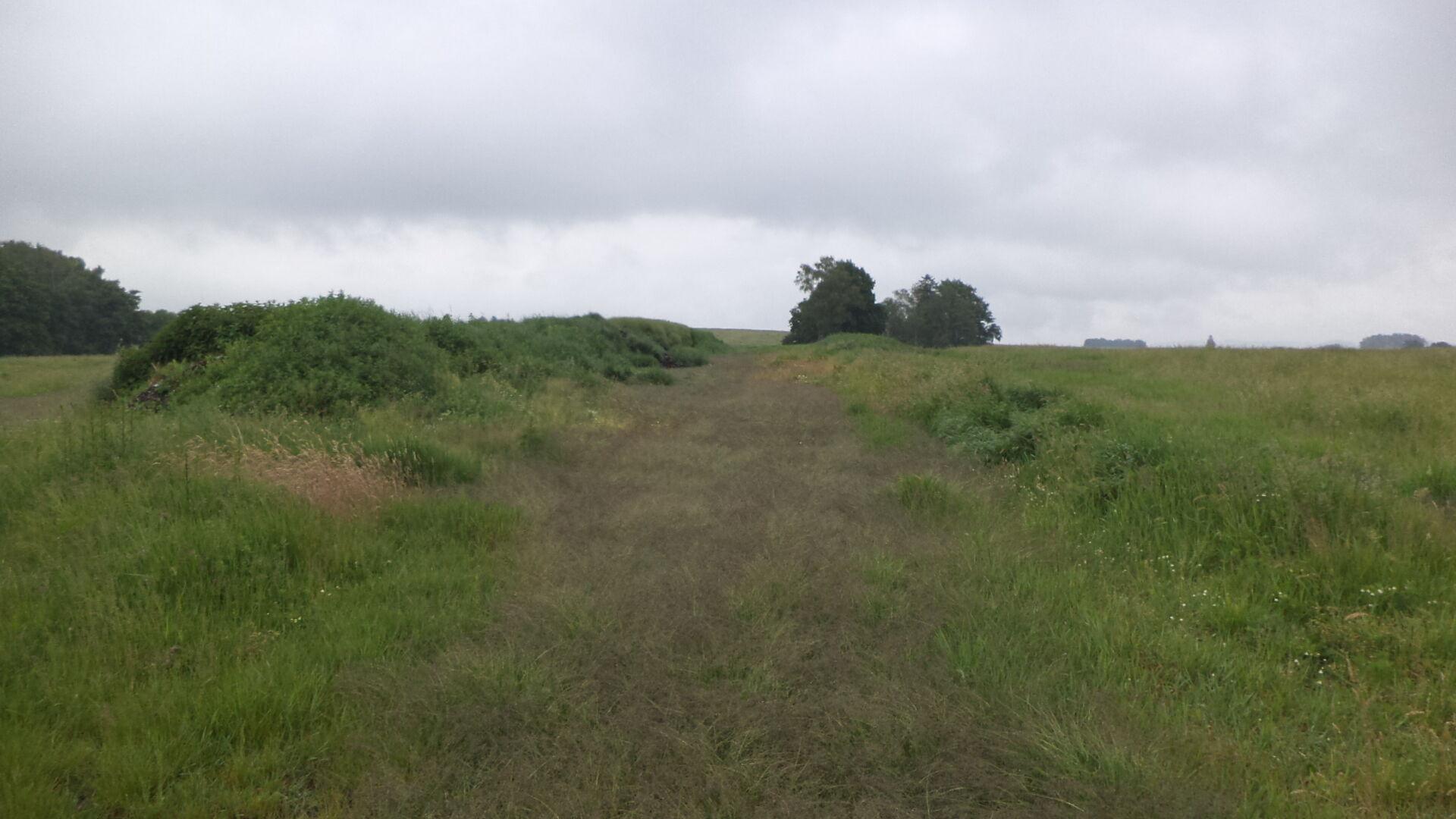 dražba pozemků Postřelná