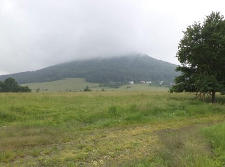 Nemovitost