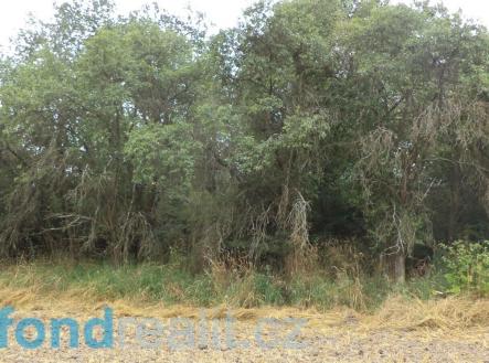 Prodej pozemku, zahrada, 1 100 m²