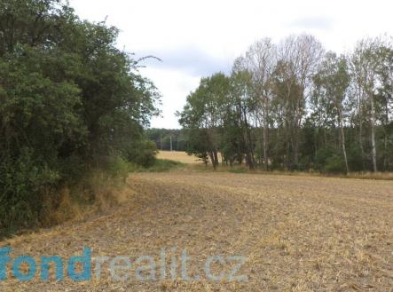 Prodej pozemku, zahrada, 1 100 m²