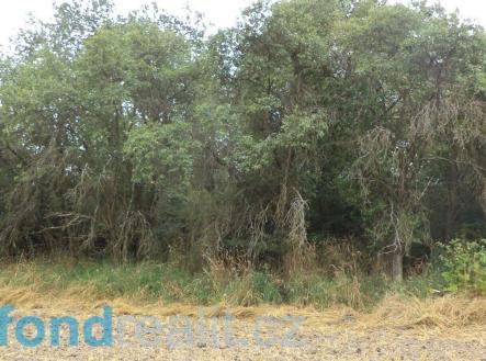 Prodej pozemku, zahrada, 1 100 m²