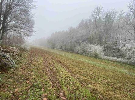 Prodej pozemku pro bydlení, 1 210 m²