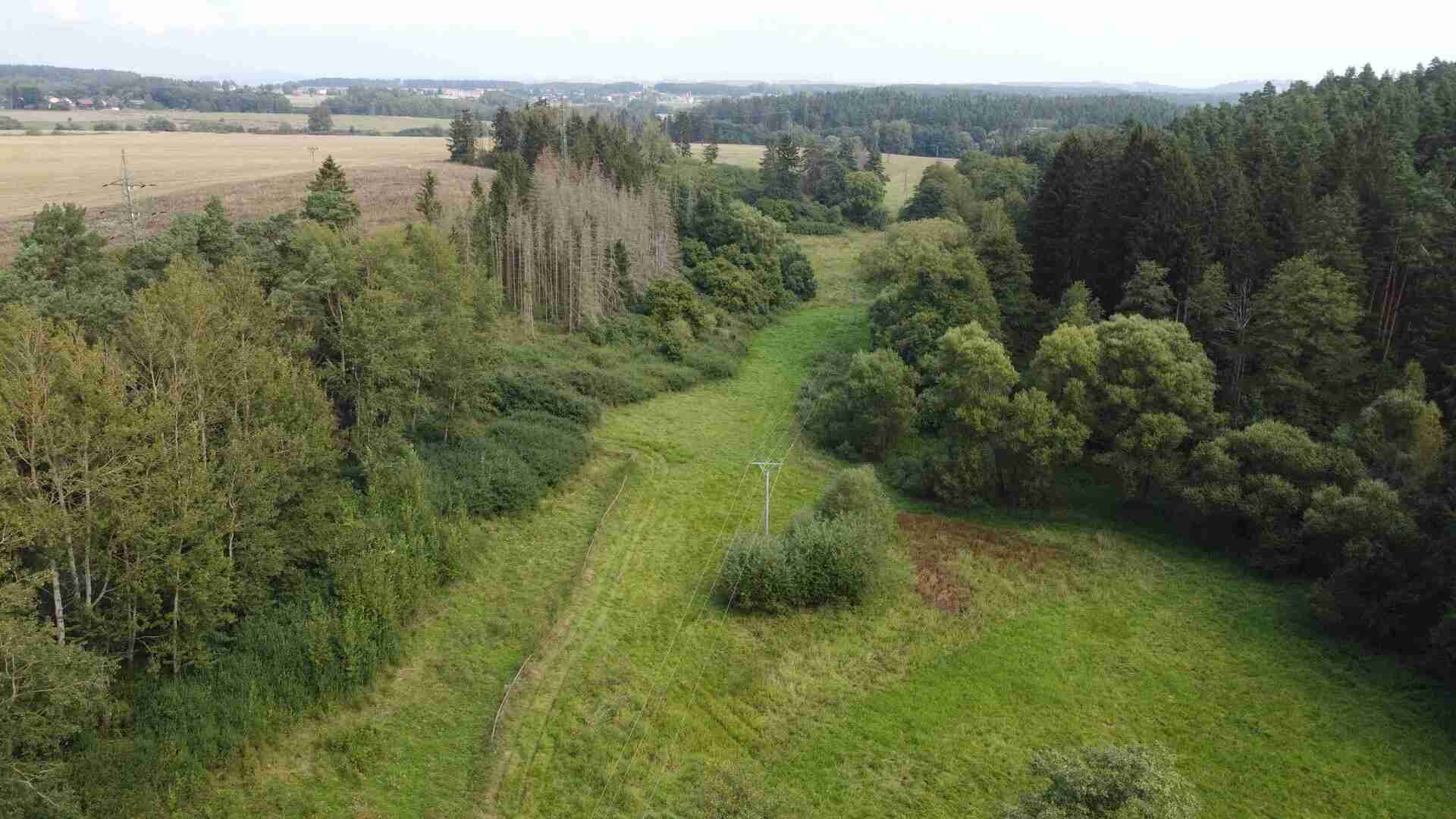 prodej pozemků k.ú. Tachov