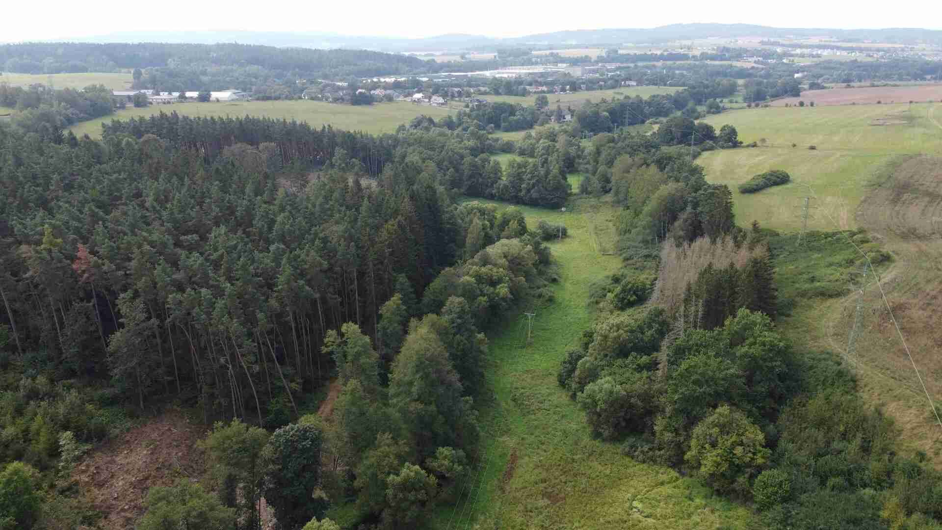 prodej pozemků k.ú. Tachov