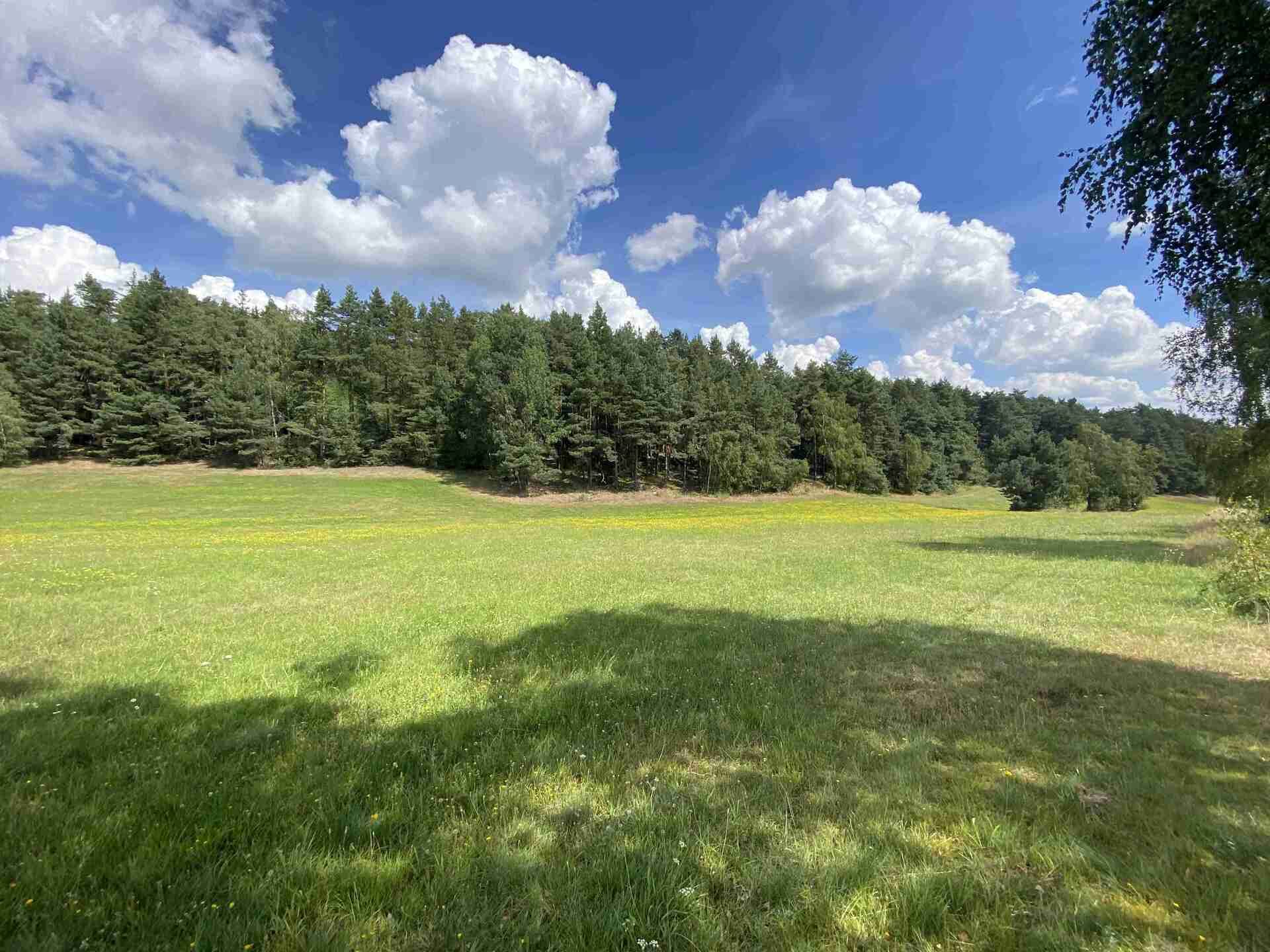 PRODEJ pozemku Dolní Radíkov