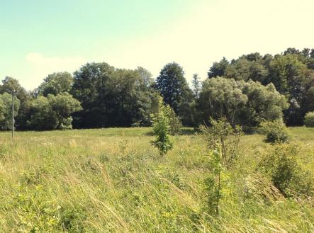 Prodej pozemku, zemědělská půda, 28 977 m²