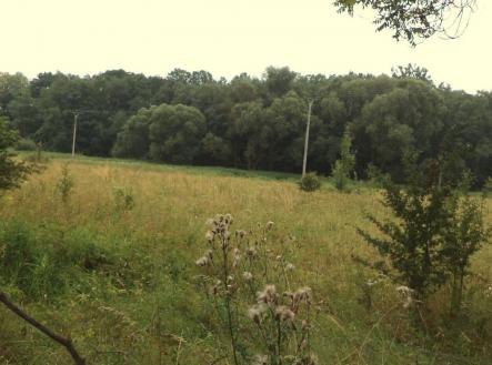 Prodej pozemku, zemědělská půda, 28 977 m²