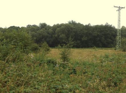 Prodej pozemku, zemědělská půda, 28 977 m²