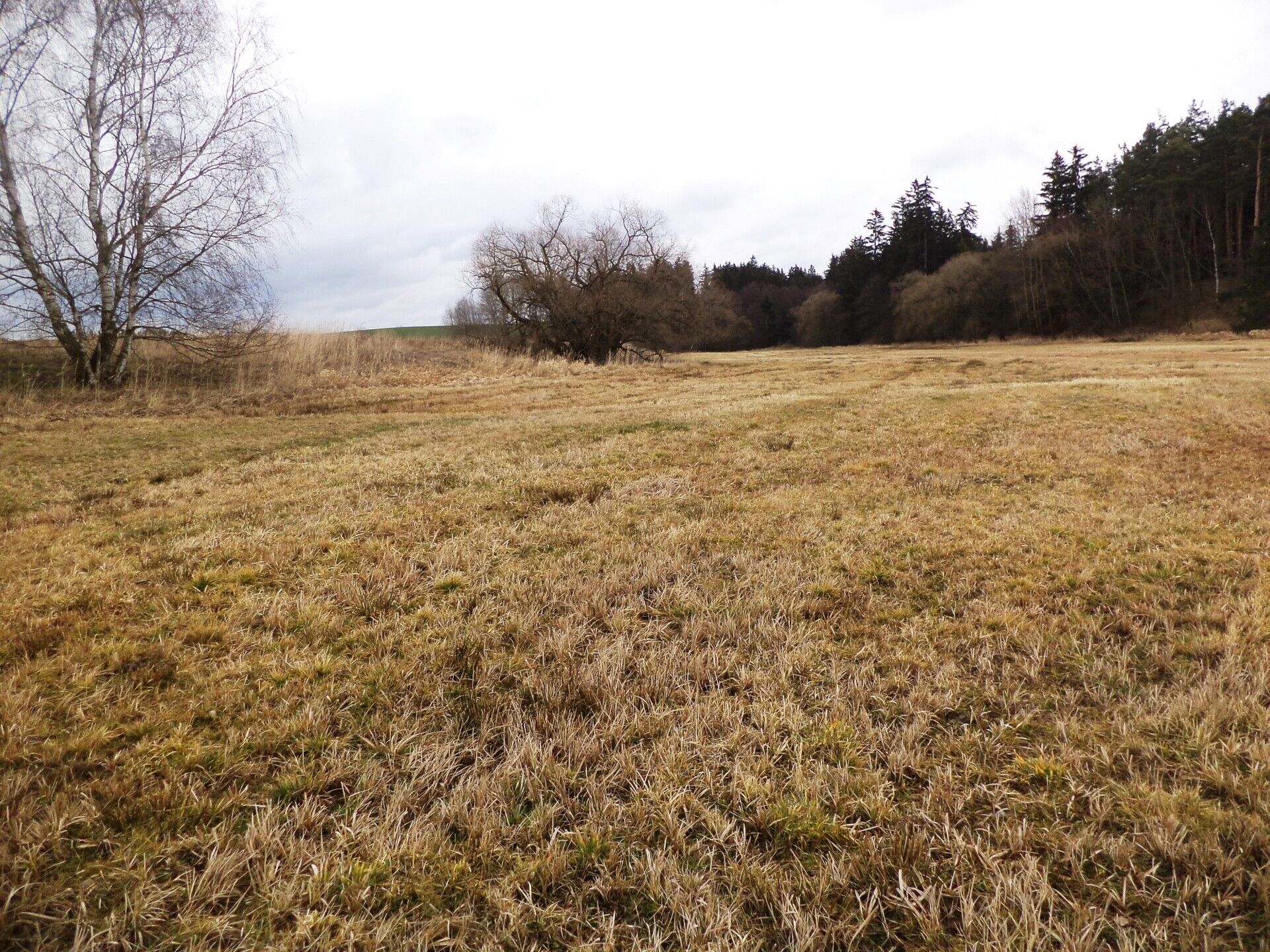 Prodej pozemků Urbaneč