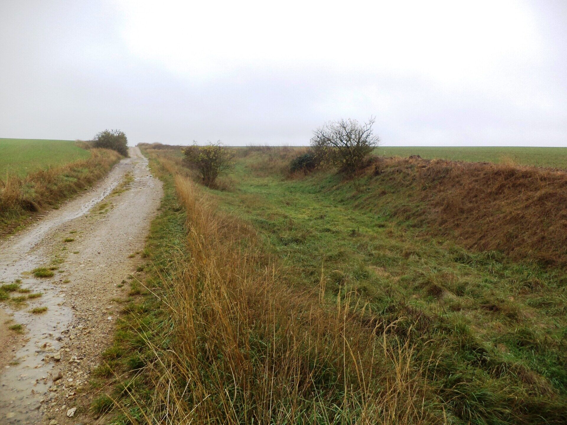 Prodej pozemků Urbaneč